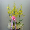 상신상사 이미지