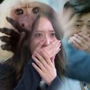 토리덴 이미지