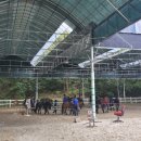 건영승마장 이미지