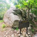 순천-36호 | 순천 조계산 _ 2022. 06. 11