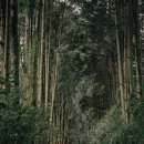 오션뷰제주게스트하우스 이미지