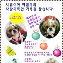 산책갈까? 이미지