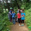 금샘초등학교 이미지