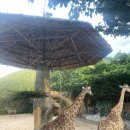 멍's랜드 이미지