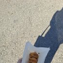 포싵 이미지