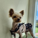 마레동물병원 이미지