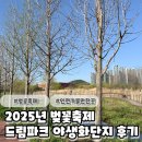 인천가볼만한곳 드림파크 야생화단지 벚꽃축제기간 후기