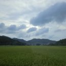 백야 이미지