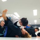 아켄주짓수