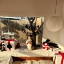 노나먹개 이미지