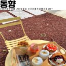 [오늘은 뭐하지]천안 &#34;동향&#34; 애견동반 카페추천 크로와상 크로플 맛집