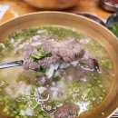 능동 | 아이와 용산 하루 코스 추천｜용리단길 맛집 능동미나리 후기 (웨이팅·주차·메뉴)