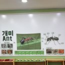 가나몬테소리 네이버블로그