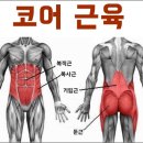 2023년 6월달 코어 근육을 신경지배로 다스려 율려 골반교정 자연치유본가 공개 임상시술세미나 이미지