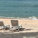 그레이트 팜 | [호주] 8박 9일 신혼여행 일정 정리 및 후기 1️⃣ / 해밀턴 아일랜드 숙소 정보 및 예산 / 💙해밀턴아일랜드...