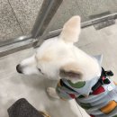 네일왓찌