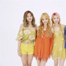 예인엔터테인먼트 이미지