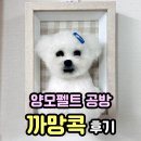 이쁜강아지 | 양모펠트 공방 까망콕 원데이클래스 후기｜강아지 액자 만들기 체험 (반려견 양모펠트)