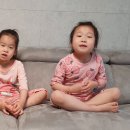 조유하