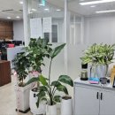 완벽한 수학학원 이미지