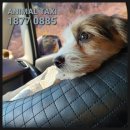 GS25 망원희망점 이미지