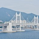 이기대 동생말 이미지