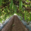 남부농원 이미지