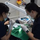 프렌즈치과의원 이미지