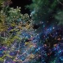 강가에 하얀집 펜션 이미지