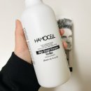 맨앤드보이남성헤어클럽 | [생활] 남자 반곱슬 관리는 리스킨 <HAMOCELL 매직스트레이트샴푸포맨>