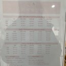 디어펫살롱 이미지