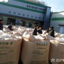 콩사랑 영농조합법인 이미지