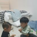 오선커텐