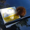 낭만에코파크 이미지