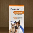 더케어벳 이미지