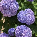 모리씨 빵가게 이미지