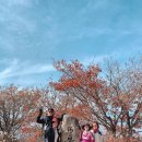 더원치과기공소 이미지