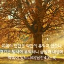 예비하신 은혜의 방편, 제자 훈련 이미지