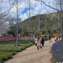 웰빙공원 이미지