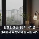 [야간]당당하게말하기 | 편한 임신 준비부터 시기별 관리법과 꼭 알아야 할 지원 제도