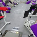 커브스문정클럽 이미지