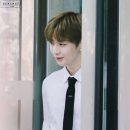 미소테라피