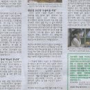 밀알광고 이미지