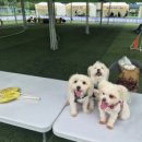 홍천읍생활체육공원 이미지