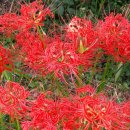 서대문도서관 이미지