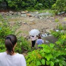 로뎀나무펜션 이미지