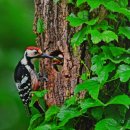 창동예술촌 이미지