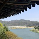 낙동강변로4-27 | [밀양] 밀양 반값여행 27개월 아기랑 다녀온 후기 (1일차)