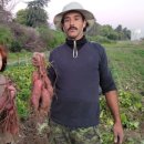 허영희농장 이미지