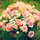 해오름1공인중개사사무소 이미지